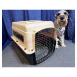 Petmate Plastic Crate w/Wire Door & Sides