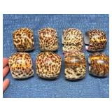 8 Natural Tiger Cowrie Shell Napkin Rings