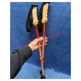Black Diamond Trekking Poles in Orange