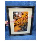 Framed Floral Photograph w/ Mat