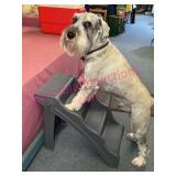 Plastic Folding Pet Stairs w/Carpeted Steps-no dog