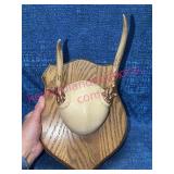 Mounted Deer Antlers on Wood Plaque