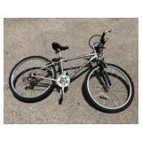 Giant Iguana MTN Bike