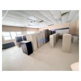 School Surplus- Room of File Cabinets