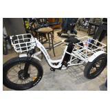E Bike Trike