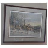 Framed Print Signed Numbered Deer Subject