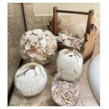 Sand Dollars, Conch Shells and Seashells