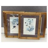 Bird Prints, Set of Four