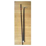 Walking Sticks