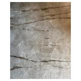 Area Rug from Aria Collection