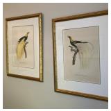 Pair of Gold Framed Bird Prints