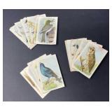Vintage Arm & Hammer Aviary Collectors Cards