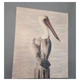 Stellar Design Studio Pelican Art