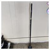 Black Cane