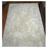 Shaw Shag  Area Rug