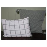 Two Decorative Pillows