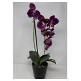 Faux Phalaenopsis Orchid in Black Pot