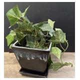 Faux Ivy in Ceramic Pot