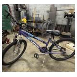 Schwinn Ranger Bike (Girl)