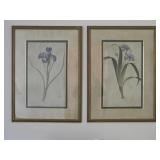 Framed Iris Prints