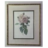 Framed Print Rose