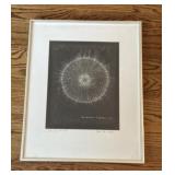 Sea Urchin I X-Ray Photograph by William Conklin