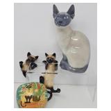 Copenhagen Siamese Cat Fun