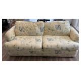 Sealy Sleep Sofa