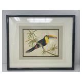 Toucan Painting, Signed