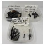 Fossilized Collection A
