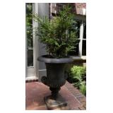Cast Iron Planter A