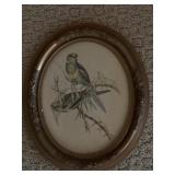 Vintage J Gould Print