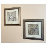 Kate Miller-McCrostie Bird Paintings