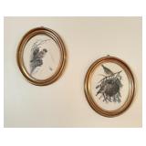 Bird Illustrations