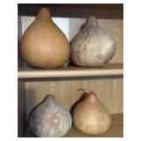 Gourd Collection