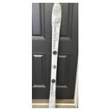Shot Ski