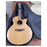 Jasmine Guitar with Case