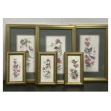 Framed and Signed Bird Prints