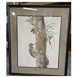 Golden-Olive Woodpecker Signed Print