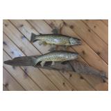 Taxidermy Brown Trout Mounted