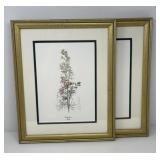 Two Botanical Watercolor Paintings, Signed