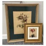 Two Botanical Prints of Roses
