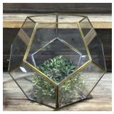 Geometric Glass and Brass Terrarium