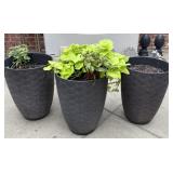 Three Plastic Planters with Plants