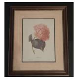 Framed Hydrangea Print