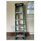 Werner 6 ft Ladder