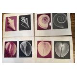 Original William Conklin X-Ray Art