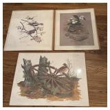 Unframed Wildlife Artwork