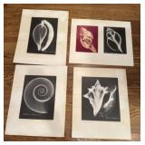 Original William A. Conklin  Xray Photography
