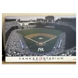 2008 Yankee Stadium Picture